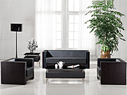 ��ͳ��Ƥɳ�� CG-CTZPSF-06