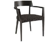 ľ�������� CG-DC587