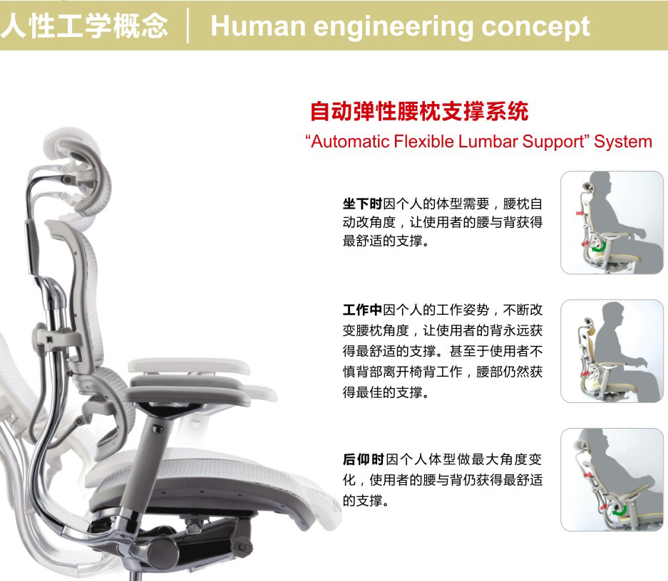 �칫���½��ϵ��Ergohuman+